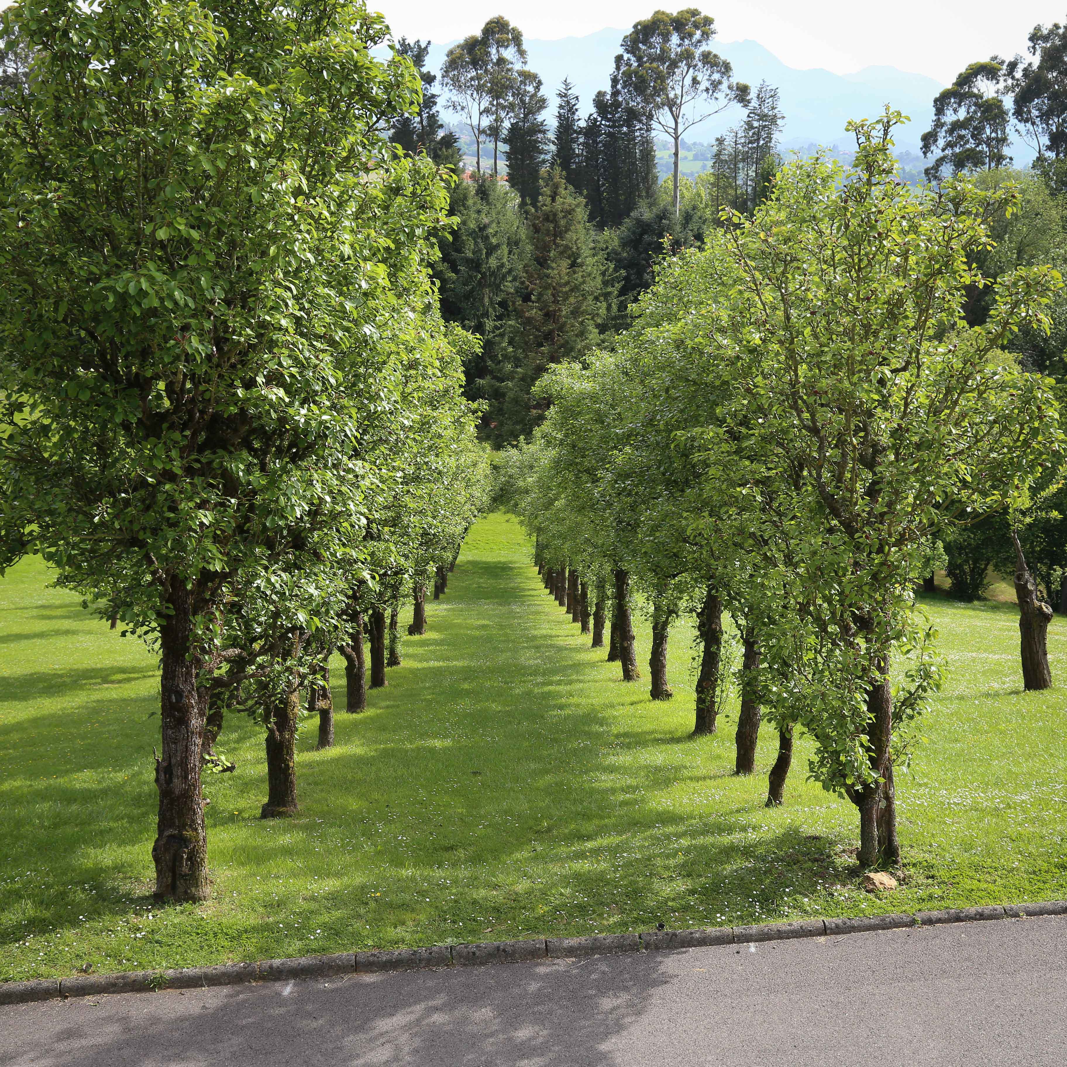 natualeza del parque
